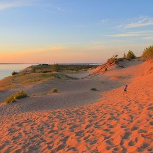 Meet your Posher, Tom